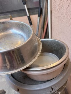 Dog Bowls