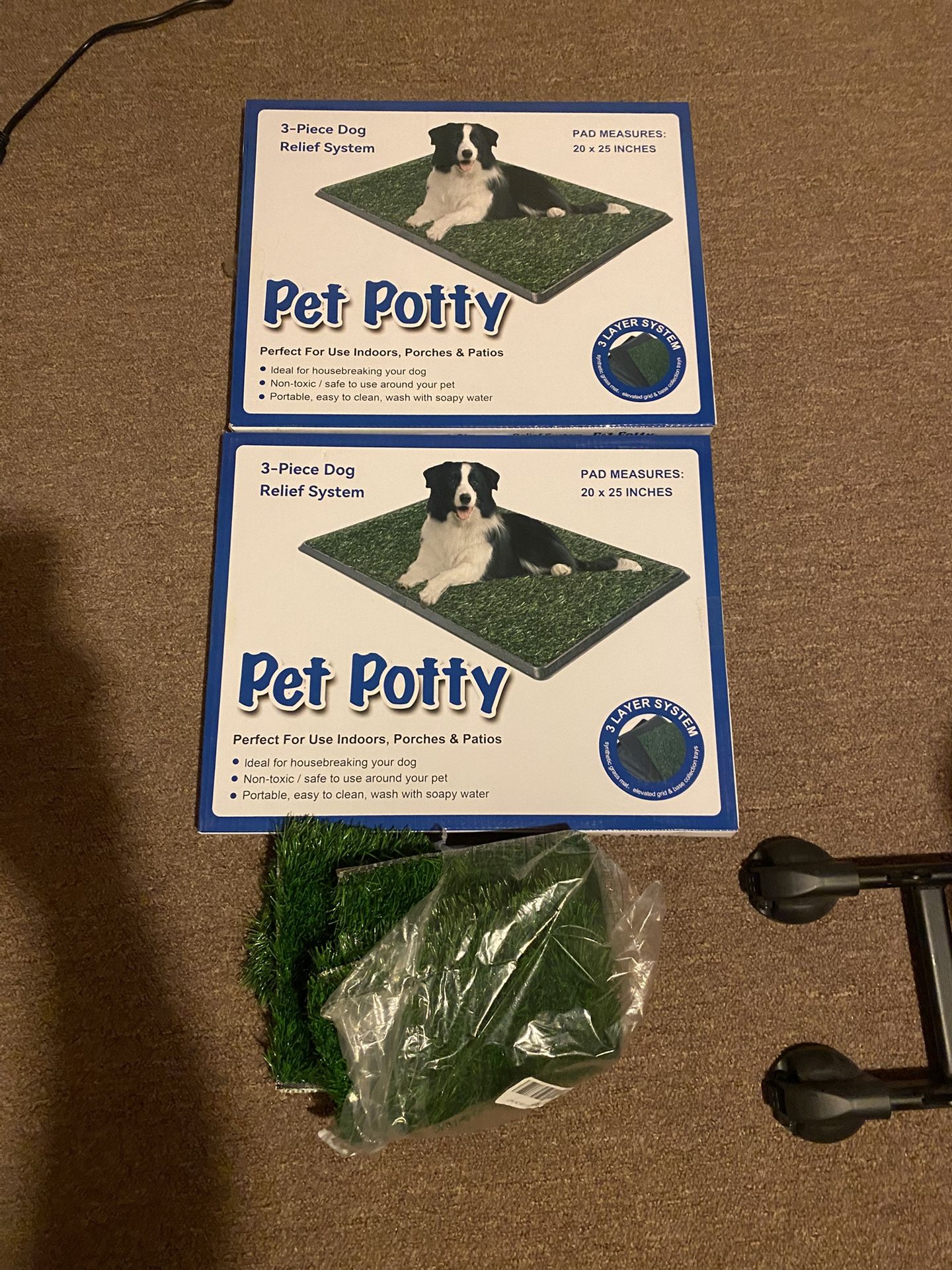 Dog pee grass