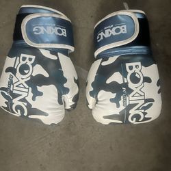 Youth Boxing Gloves 