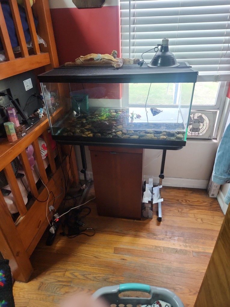 Big Tank And Turtle