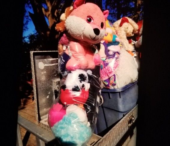 MardiGrasThrows $35.ea.4 For $125.save$$