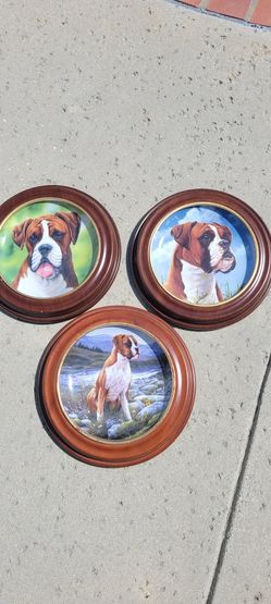 Boxer Plates 