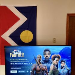 43” VIZIO SMART TV: High-End Ultrathin 1080p Smart Television LIKE NEW with Remote