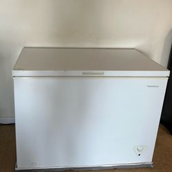 Large Insignia 10.2 Cu. Ft. Chest Freezer 