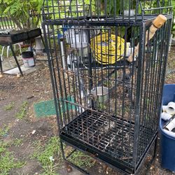 Bird Cage 