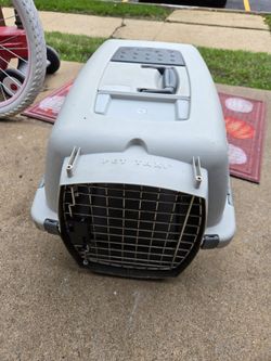 Pet Taxi Hard-Shell Pet Carrier