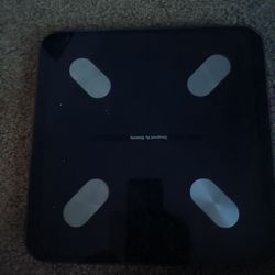 Scale