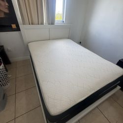 Queen Bed Frame New In That Box With Mattress And Box Spring All New Furniture And Free Delivery Free Installation 