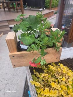 Mini Planter