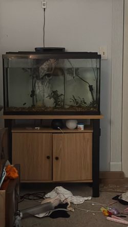 30 gallon fish tank with stand, filter, and lid.