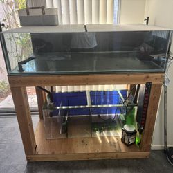 Complete Coral Frag Tank Setup