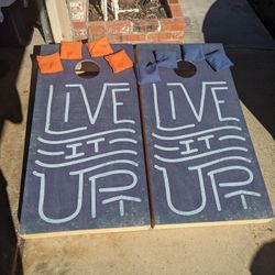 Cornhole Set Official Size