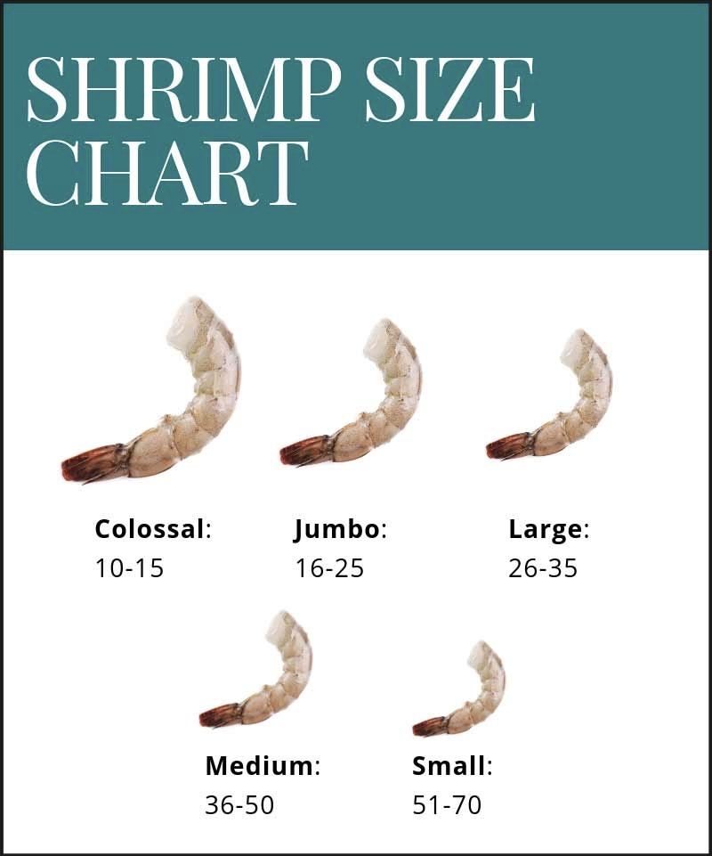 Shrimp