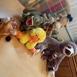Plush Animals