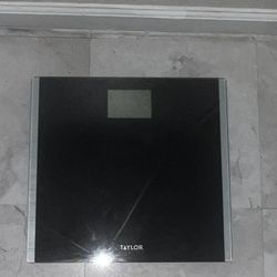 Weight Scale 