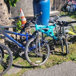 4 adult bikes