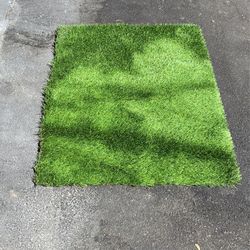 Artificial Grass