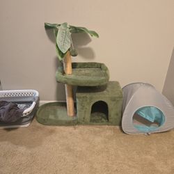 Cat Tree