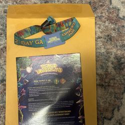 beyond ticket 2-day GA