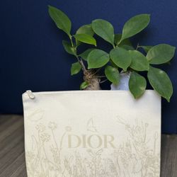 Dior Pouch 