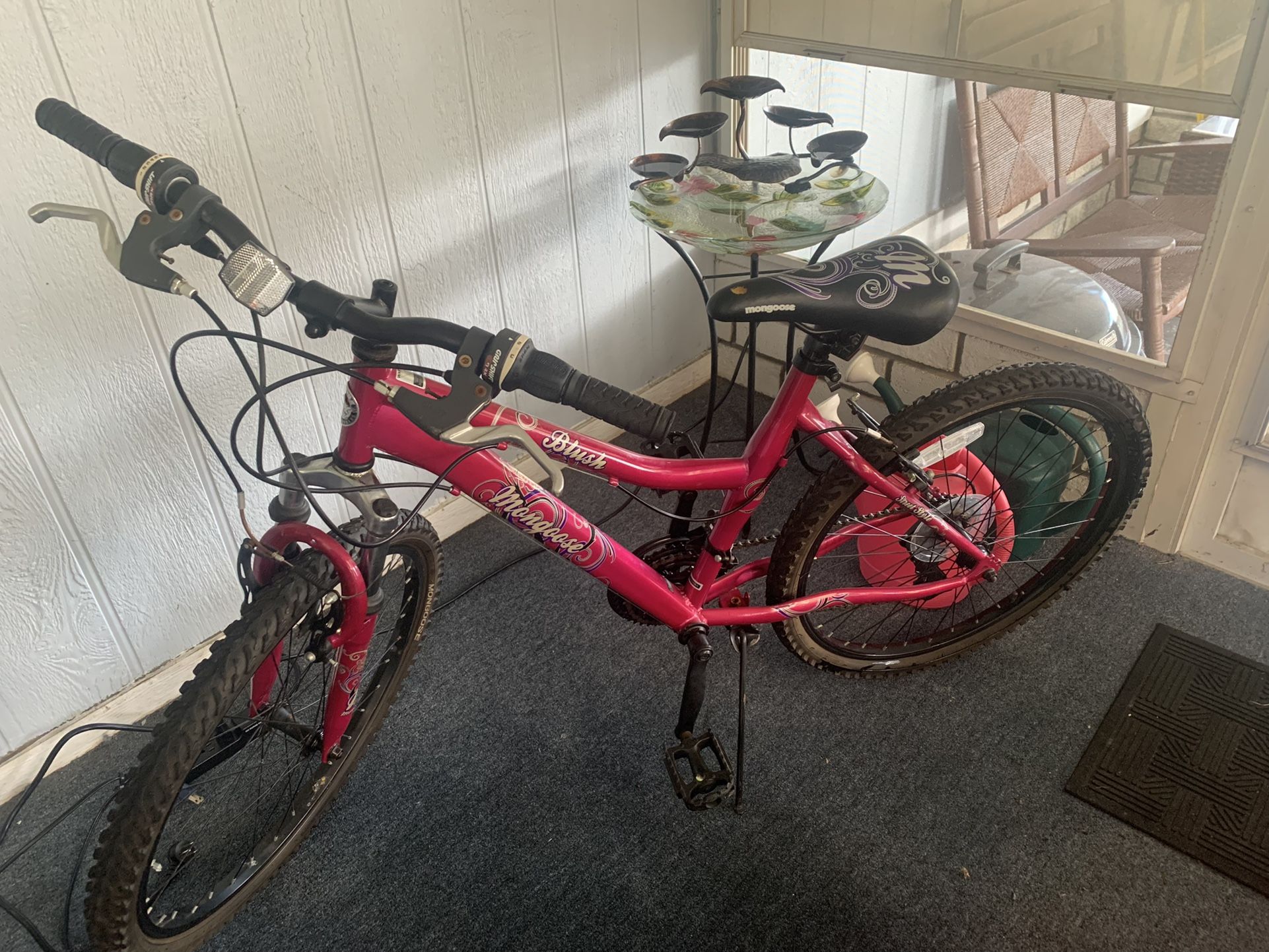 Girls 24” Mongoose Blush Bicycle