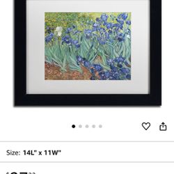 Vincent Van Gough Framed Print-Garden Of Irises-NEW