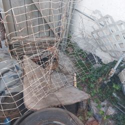 Metal Wire Fencing, Cage ,etc. Lattice