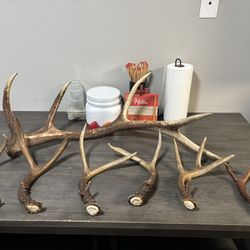 Antlers
