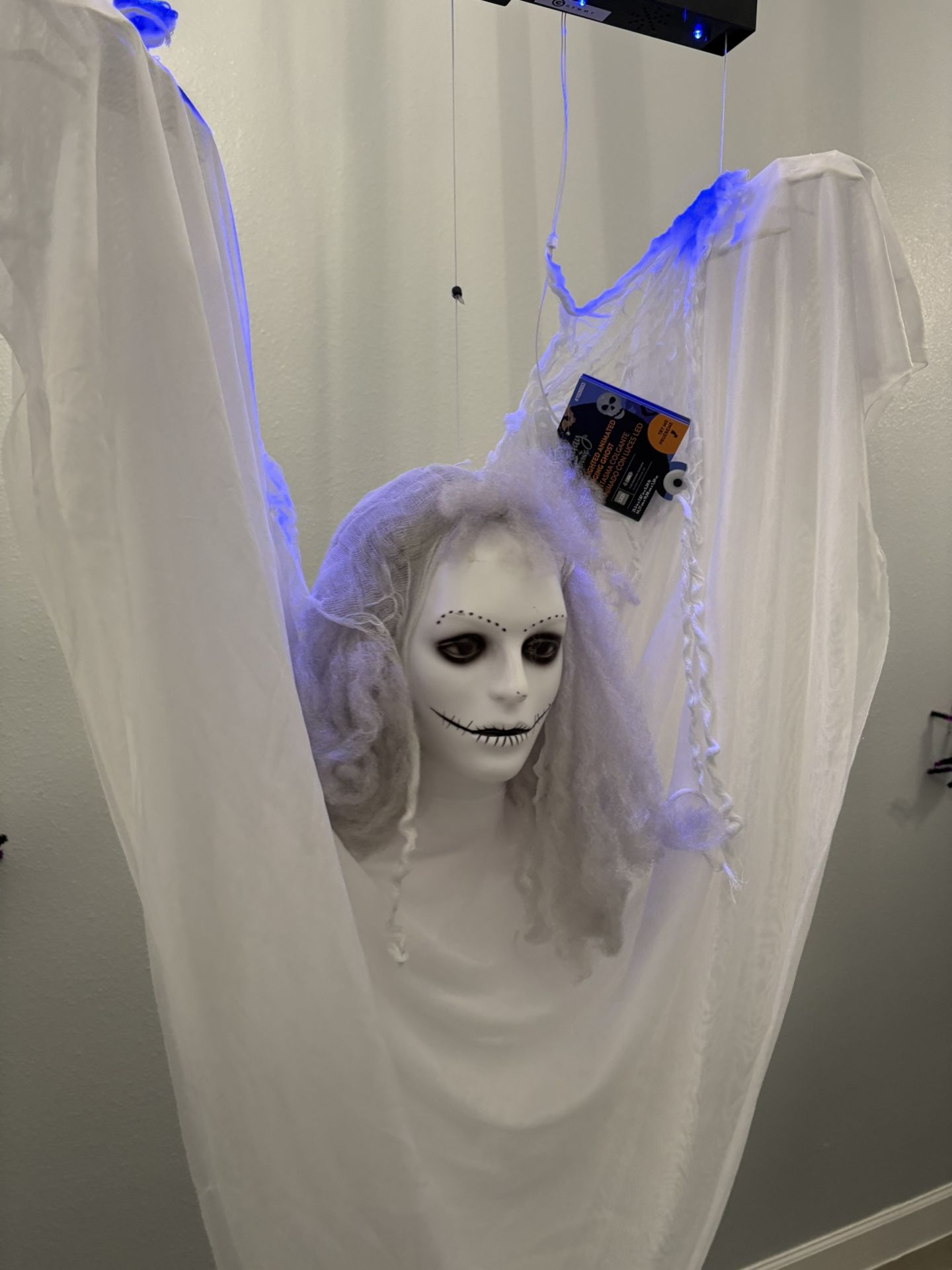 Halloween Animated Ghost And Ghoul