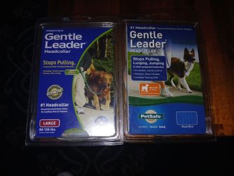 Gentle leader headcollar