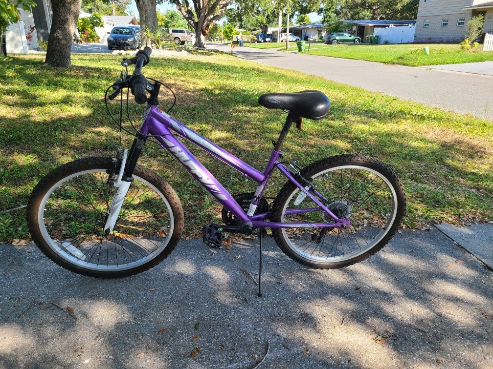 BIKE - 24" - LIKE NEW - $45 OBO