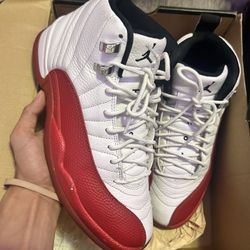 Jordan 12 Size 9.5