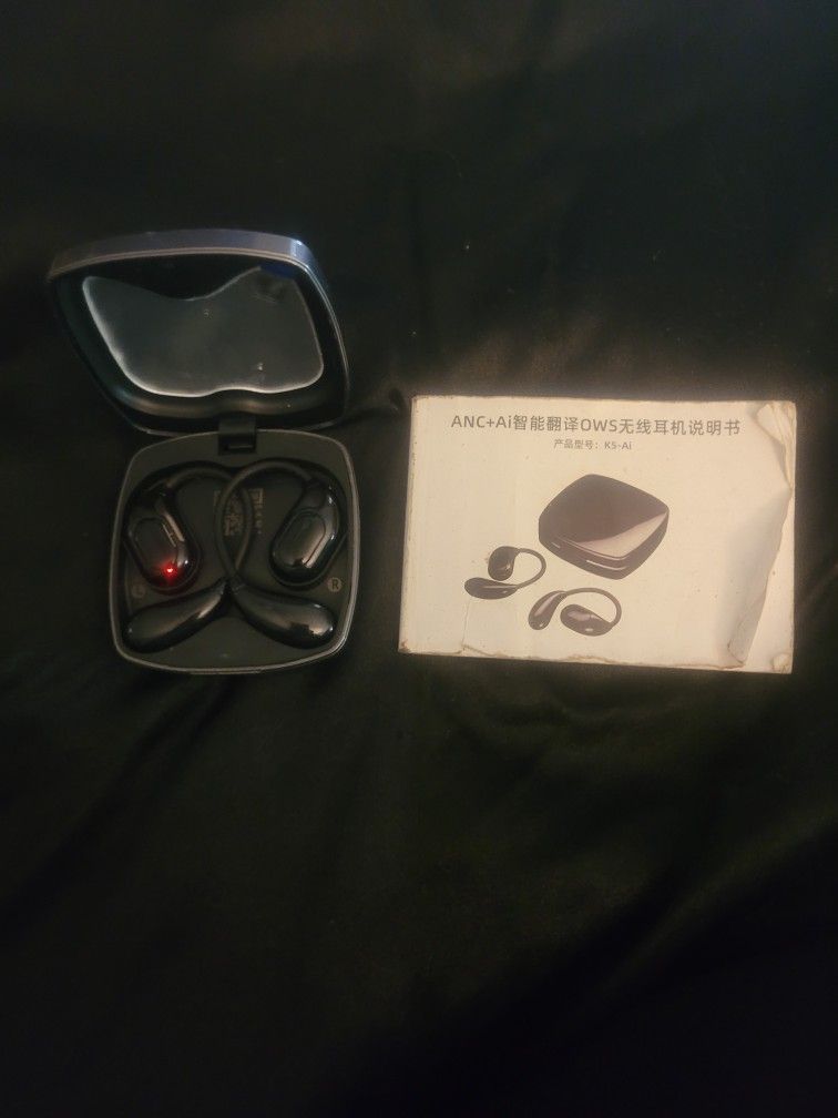 Translation Earbuds