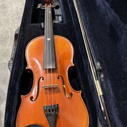 Violin 4/4, Bow, Rest, Case, Music Book Stand, Book 