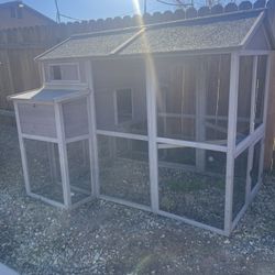 Chicken Coop