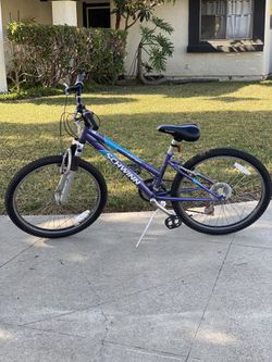 Schwinn Bicycle