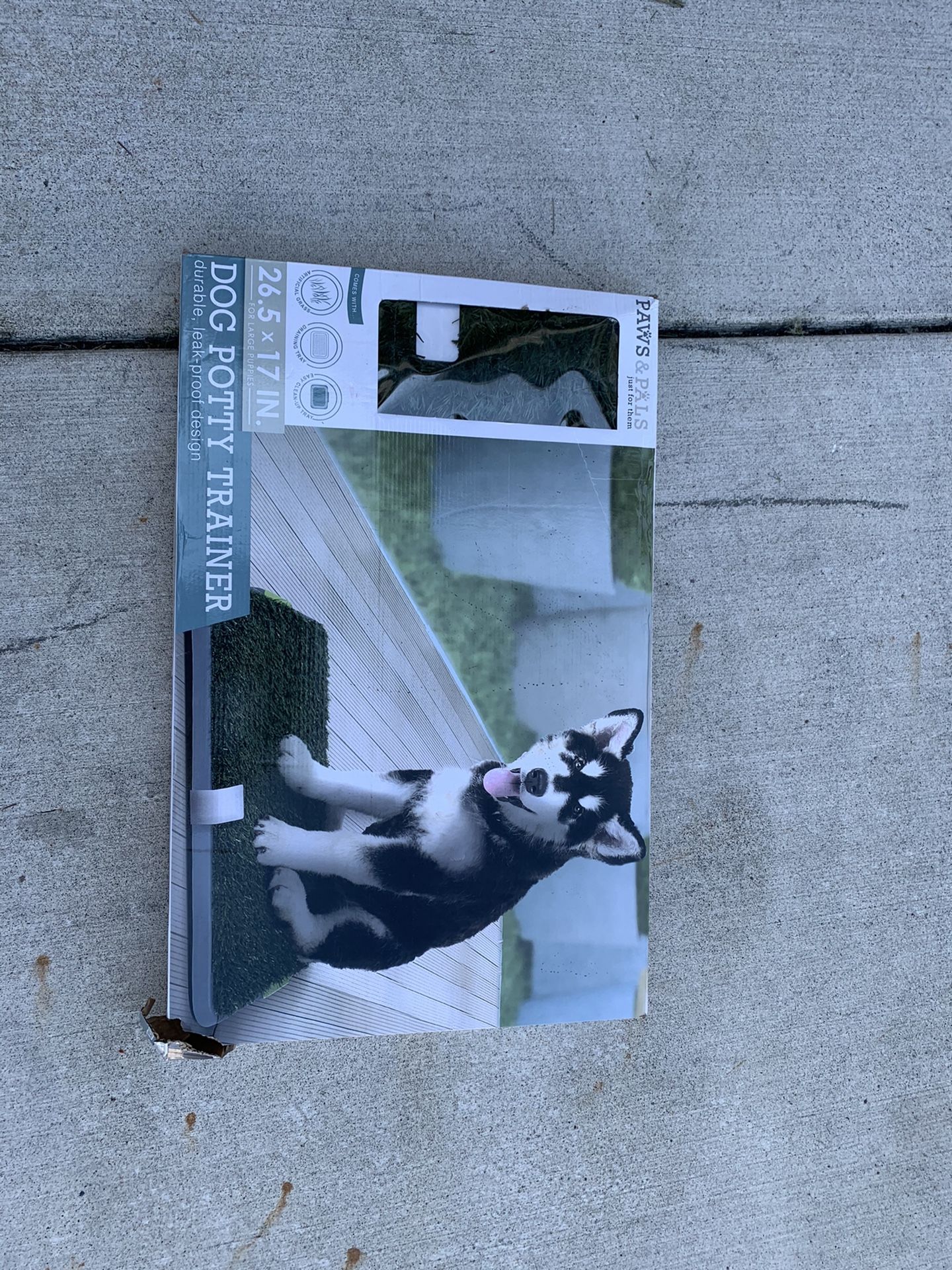 Pet pad