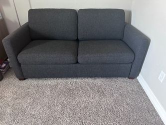 Gently Used Sleeper Sofa Bed