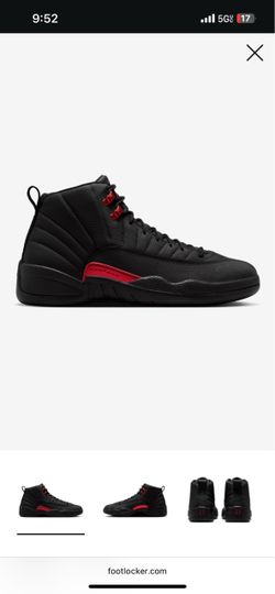 Jordan 12s bloodlines 10.5