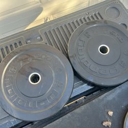 Faster Agian Bumper Plates