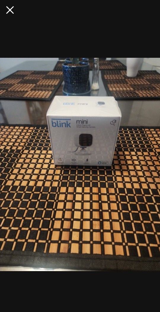 Blink Mini