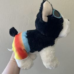 Adorable Beach Doggie