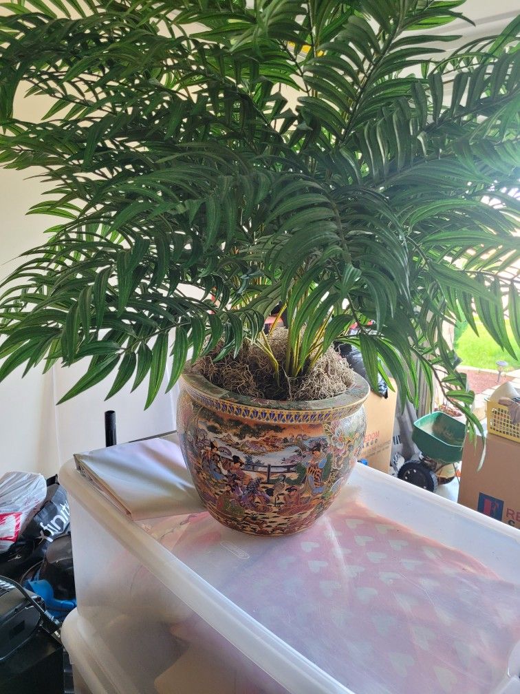 Fake Plant With Vase