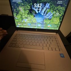 Champagne Hp Laptop