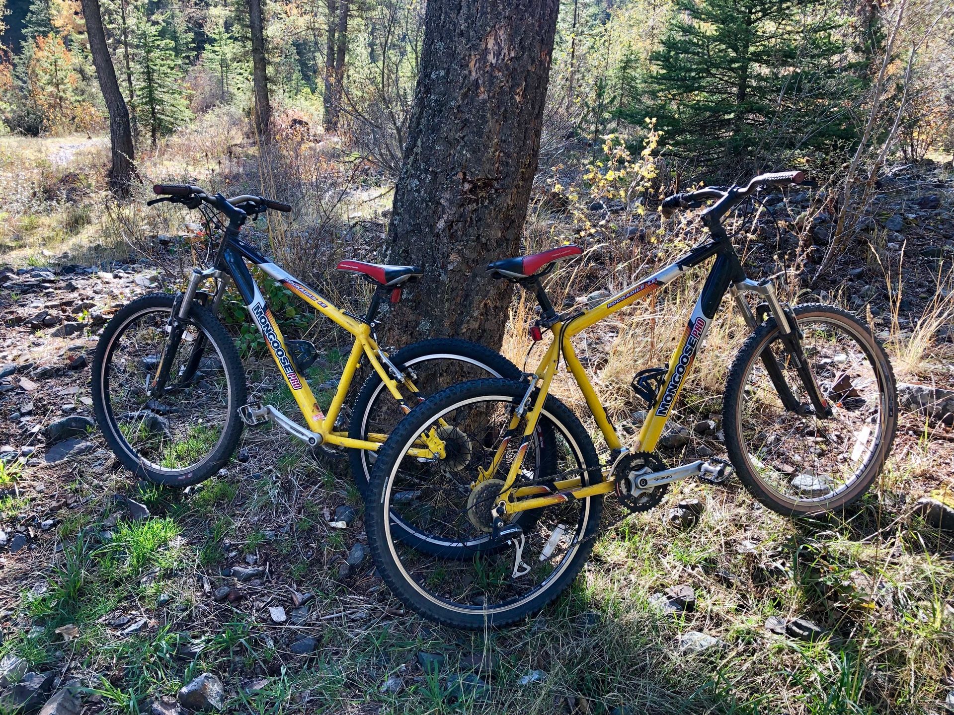 Vtt mongoose 2025 pro