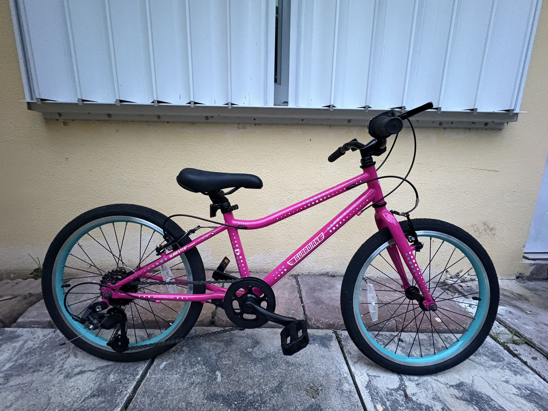 Guardian 20-Inch Kids Bike – 7-Speed – Excellent Condition!