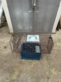 Animal trap cats possum raccoon