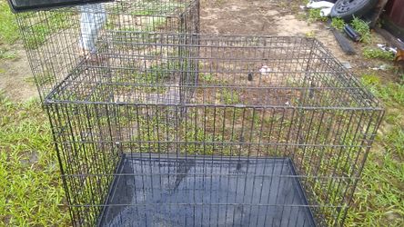 2 big dog cages
