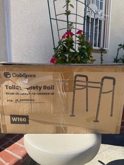 Toilet safety rail
