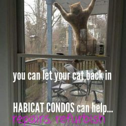 Habicat Custom Cat Cindos